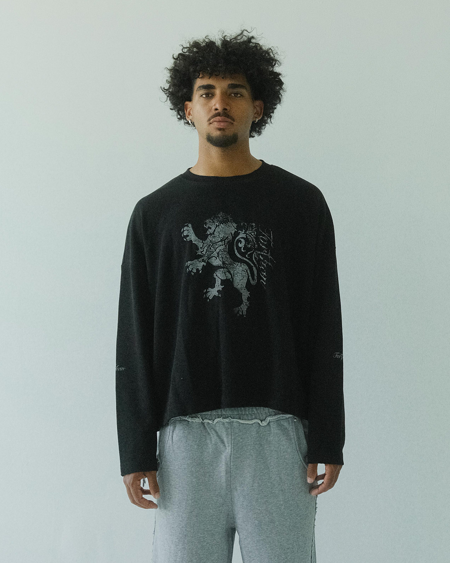 LION THERMAL